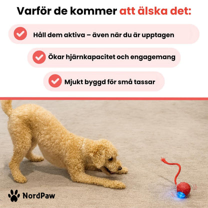 NordPaw™ - Speedy Tail 2.0