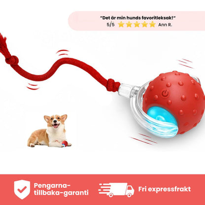 NordPaw™ - Speedy Tail 2.0